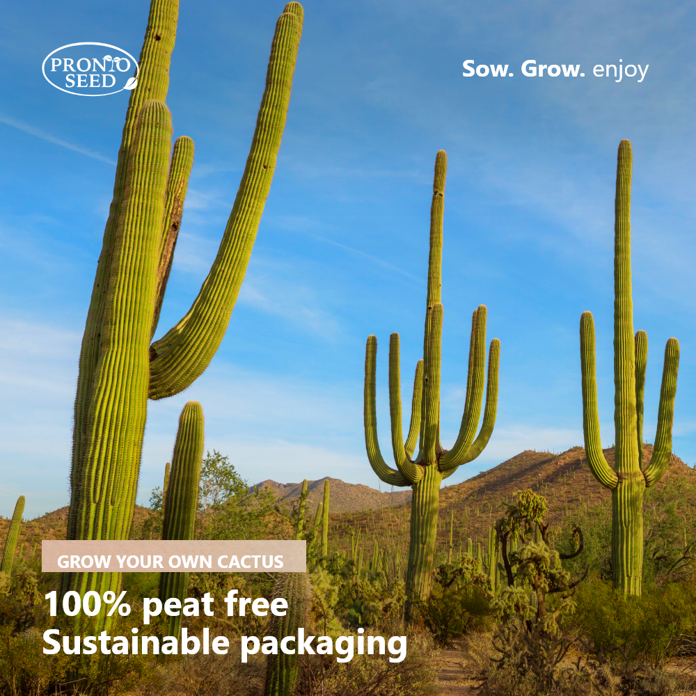 Grow Your Own Cactus Kit – 5 Seed Varieties | Spiky Cactus Grow Kit