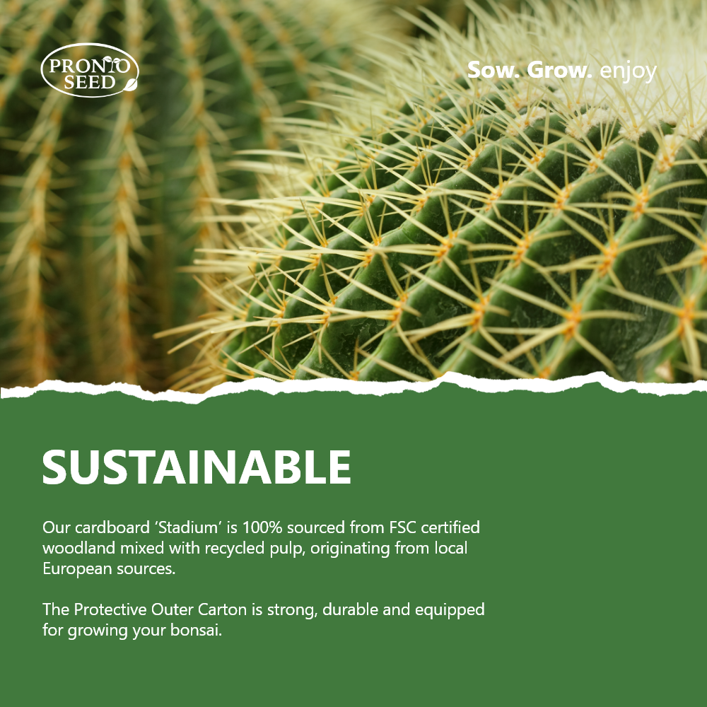 Grow Your Own Cactus Kit – 5 Seed Varieties | Spiky Cactus Grow Kit