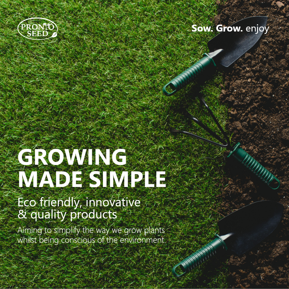 Grow Your Own Cactus Kit – 5 Seed Varieties | Spiky Cactus Grow Kit
