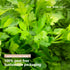 Herb a’ Licious - Grow Your Own Kitchen Herbs