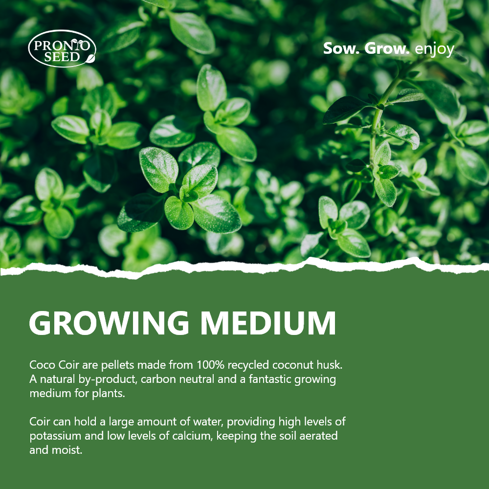 Grow Your Own Herbs Kit – 5 Seed Varieties | Kitchen Herb Grow Kit