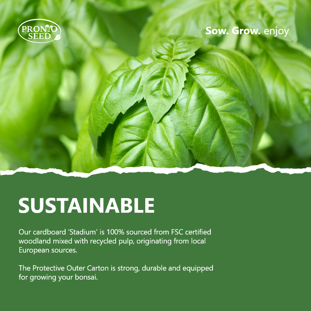 Grow Your Own Herbs Kit – 5 Seed Varieties | Kitchen Herb Grow Kit
