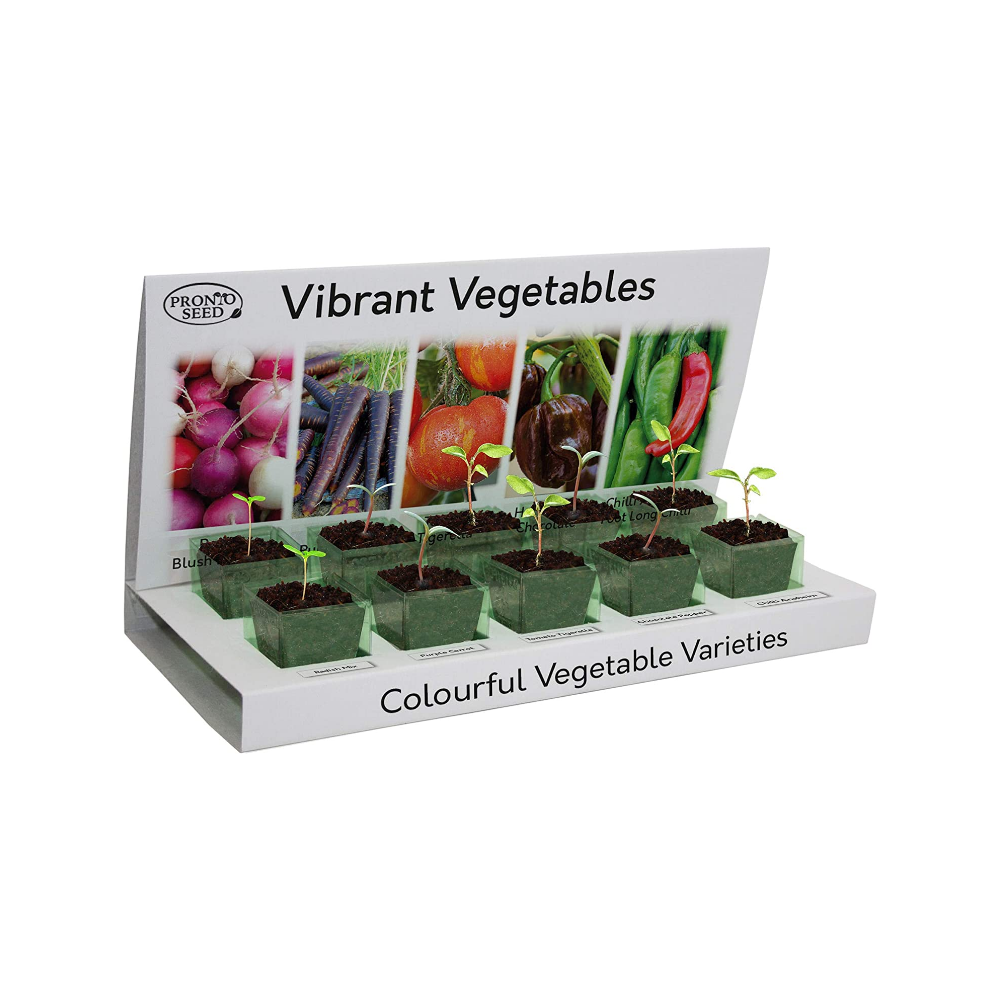 The Pronto Seed Vibrant Vegetables eco grow at home kit
