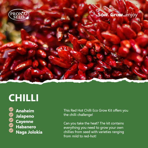 Red Hot Chilli - Grow Your Own Chillies