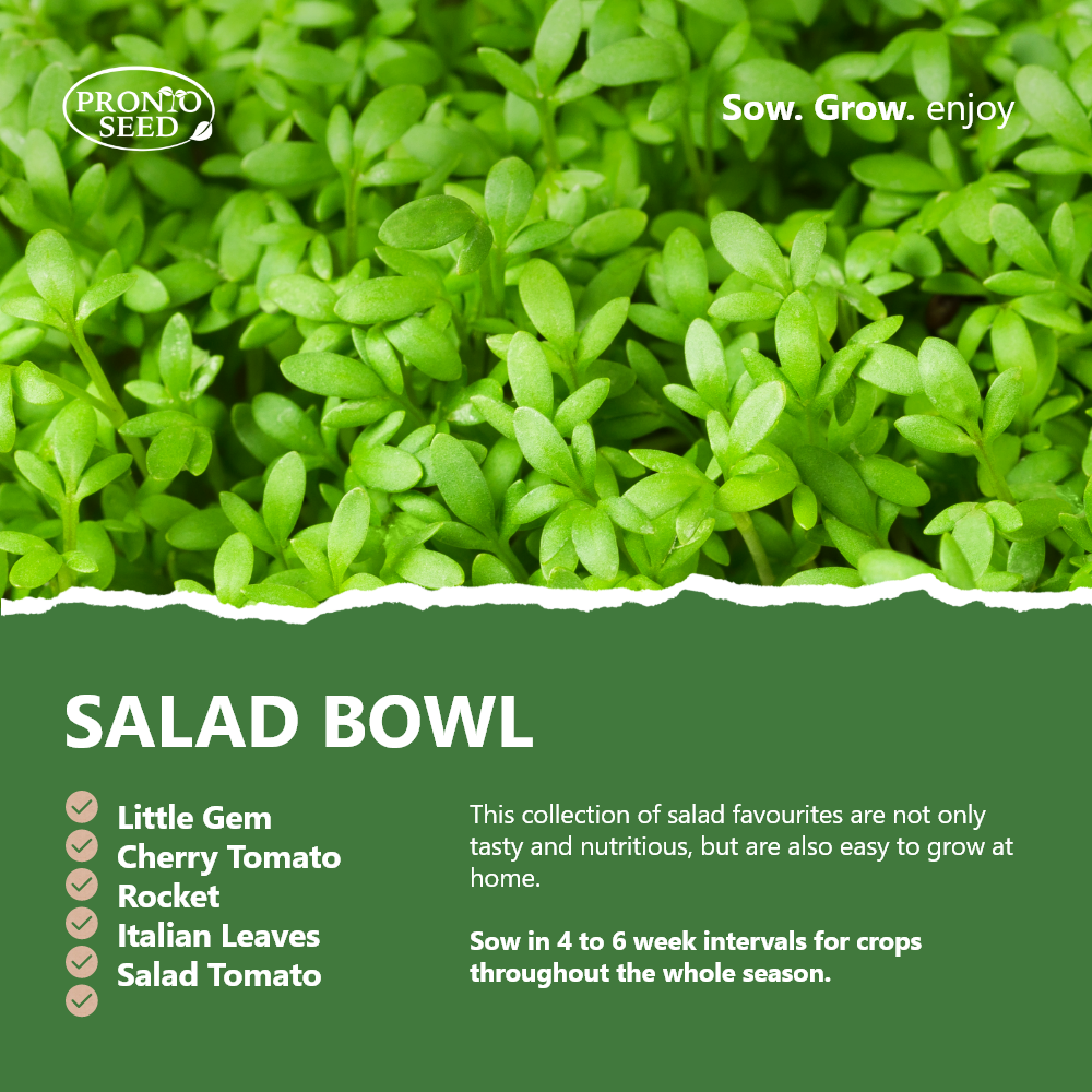 Vegetable Seeds – 21 Varieties, 1,700+ Seeds