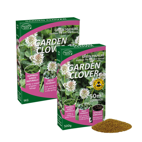 White Clover Seed – 500g / 1kg | For Lawns, Patches & Pollinators