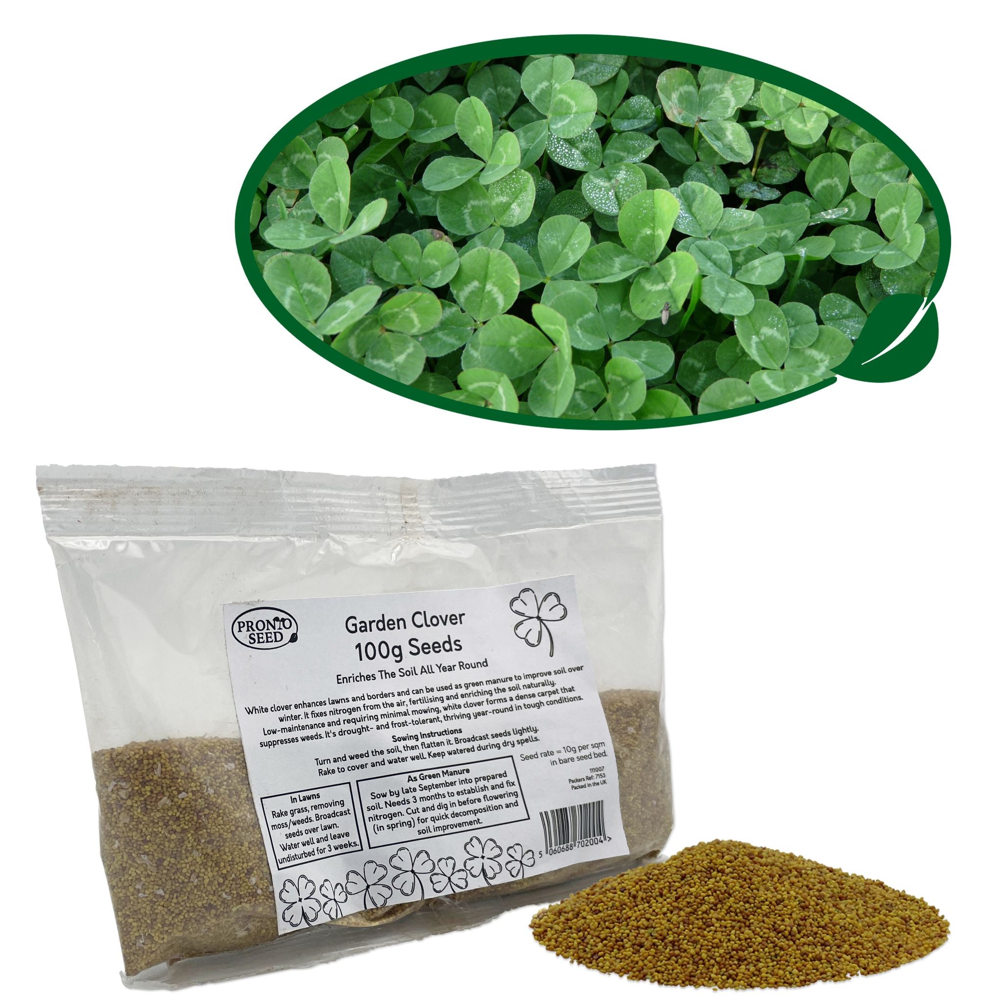 White Clover Seed – 500g / 1kg | For Lawns, Patches & Pollinators