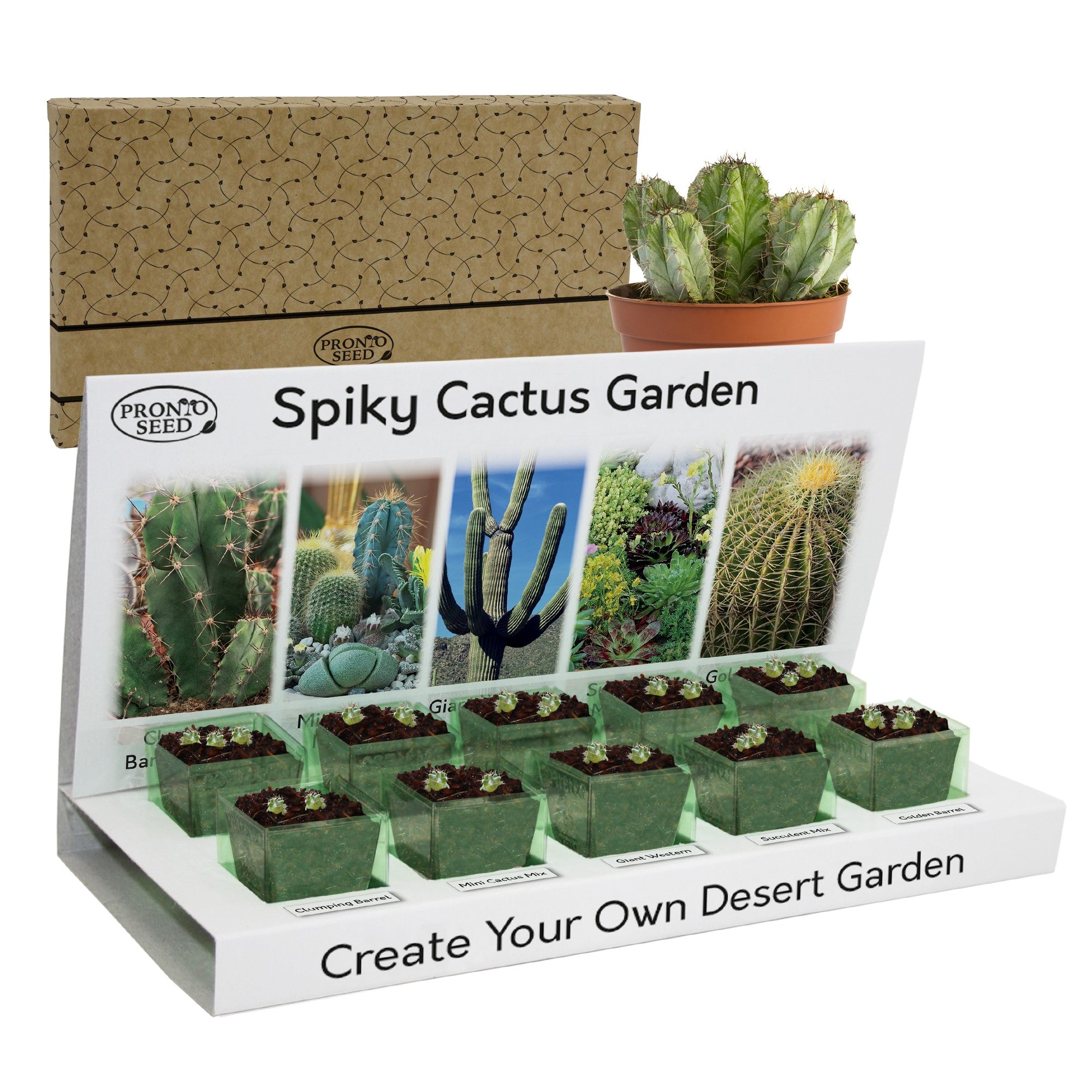 Grow Your Own Cactus Kit – 5 Seed Varieties | Spiky Cactus Grow Kit