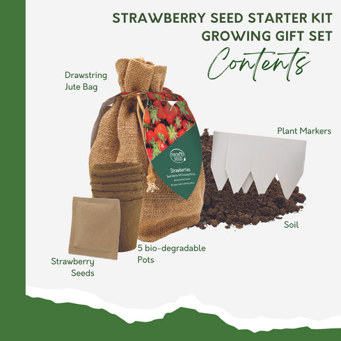 Strawberry Starter Kit In Jute Bag