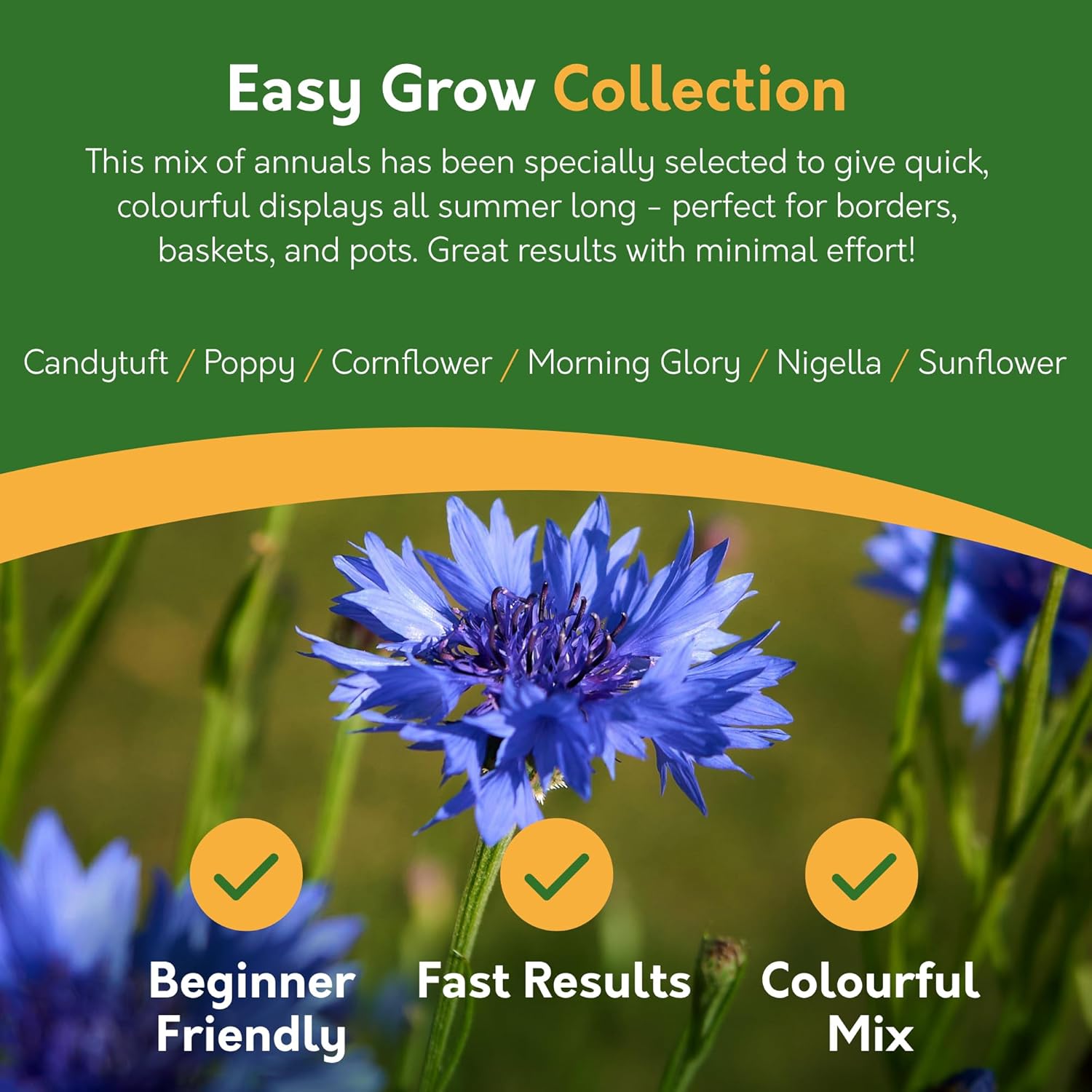 Flower Seed Pack – 24 Varieties Mixed Flower Seeds (Over 2,800 Seeds)