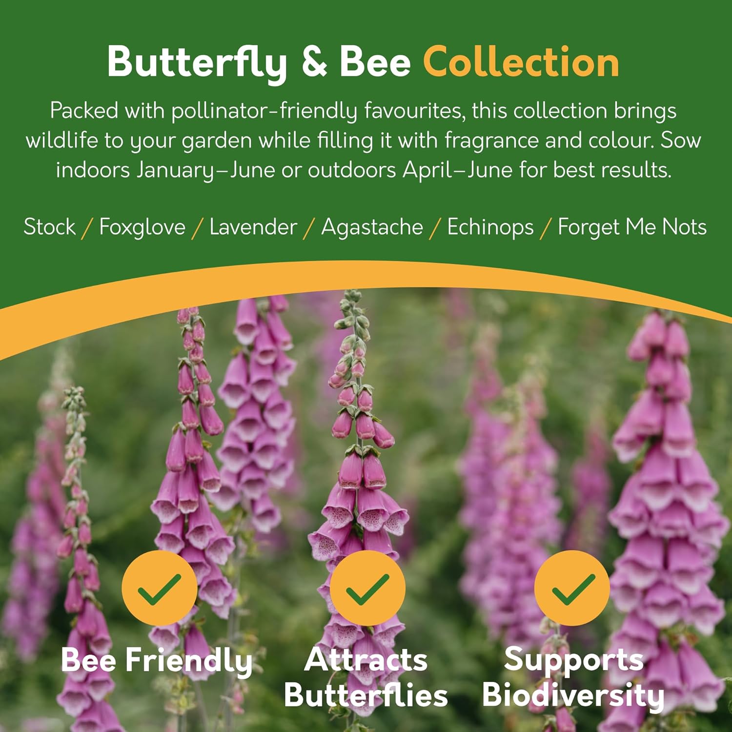 Flower Seed Pack – 24 Varieties Mixed Flower Seeds (Over 2,800 Seeds)