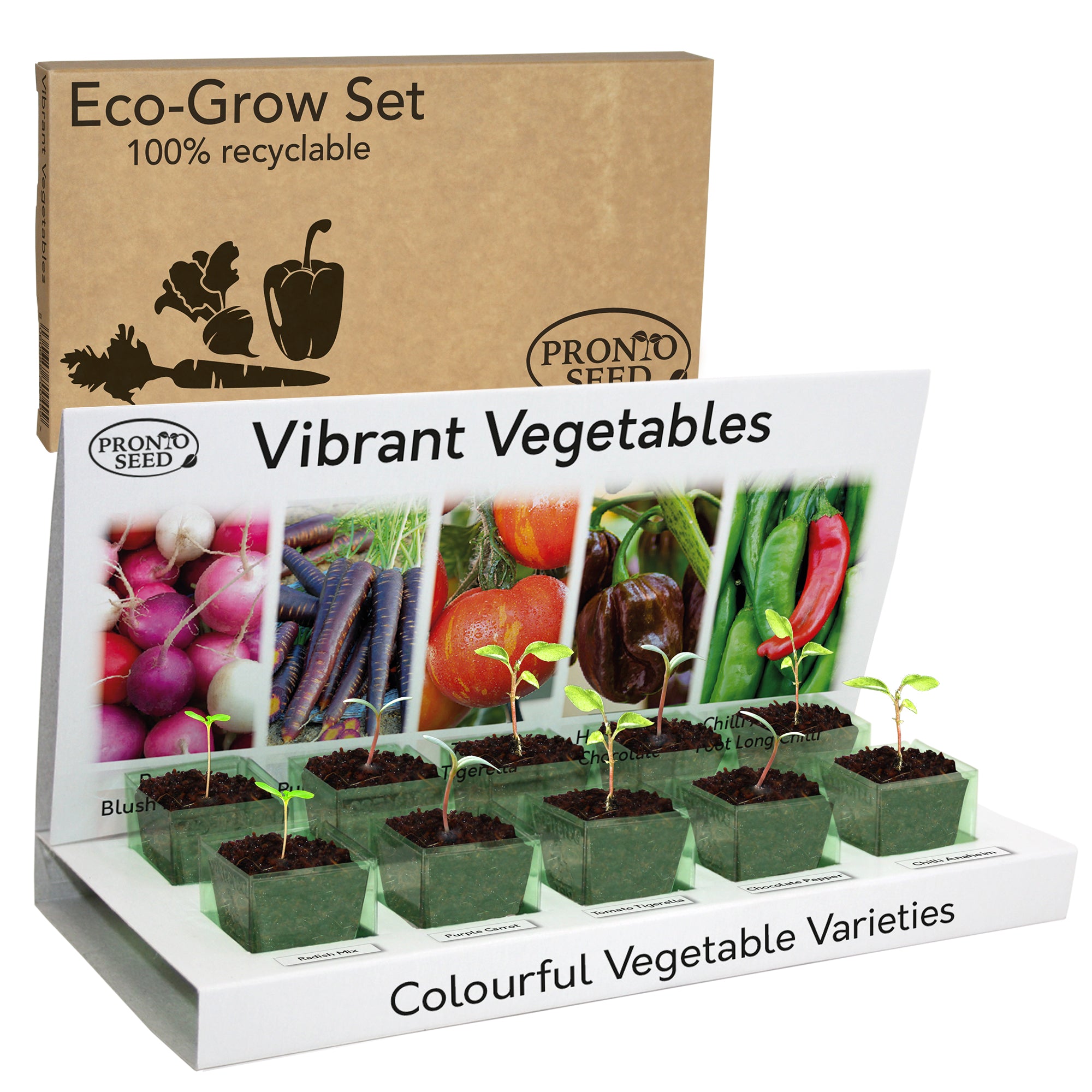 Grow Your Own Vegetable Kit – 5 Seed Varieties | Vegetable Grow Kit
