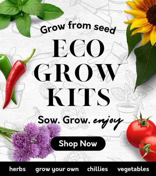 ECO Grow Bag Planting Kit