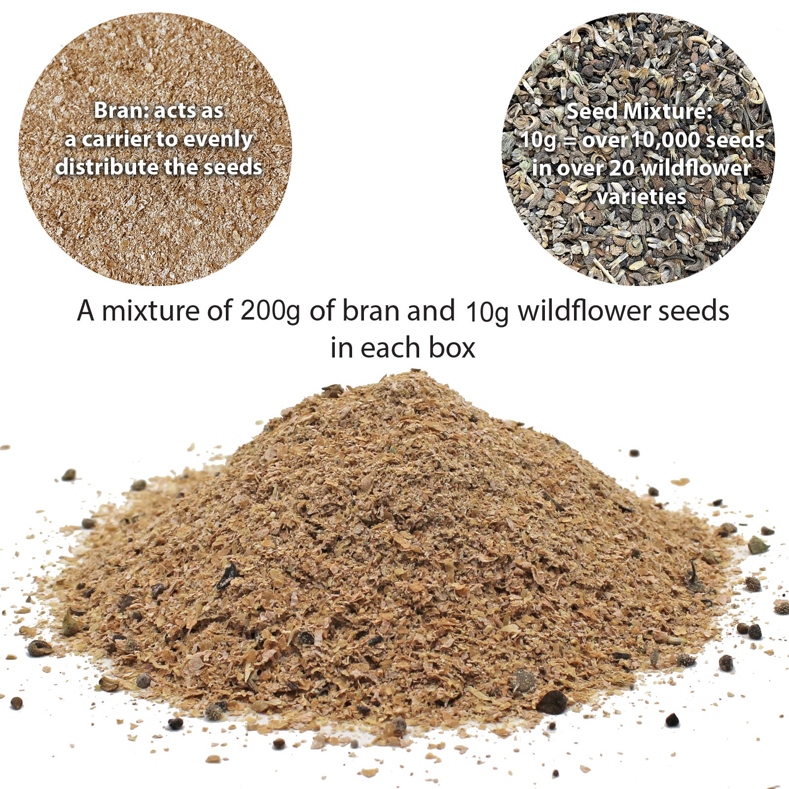 Meadow Garden Wildflower Seed Shaker – Covers 25m²