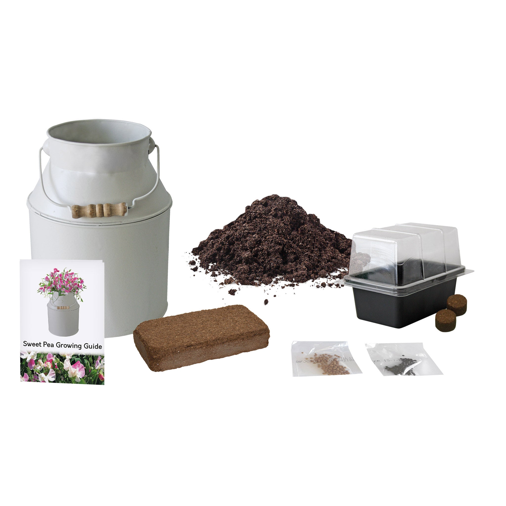 Sweet Pea Grow Kit in Milk Churn – Flower Gift Set