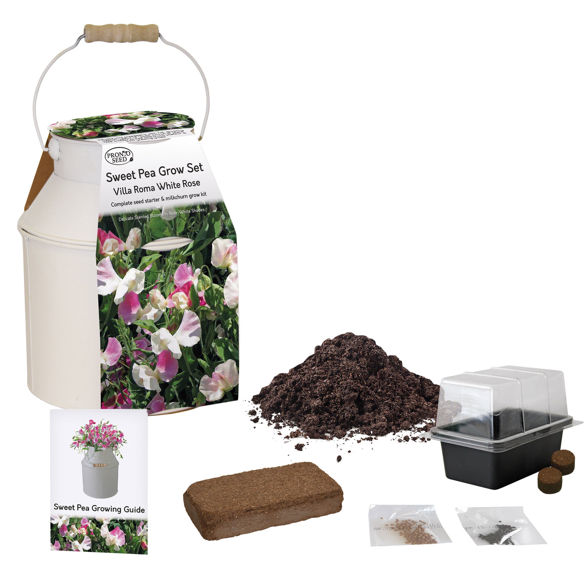 Sweet Pea Grow Kit in Milk Churn – Flower Gift Set