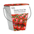 Cherry Tomato Bucket Planter Grow Your Own Gift Set Kit