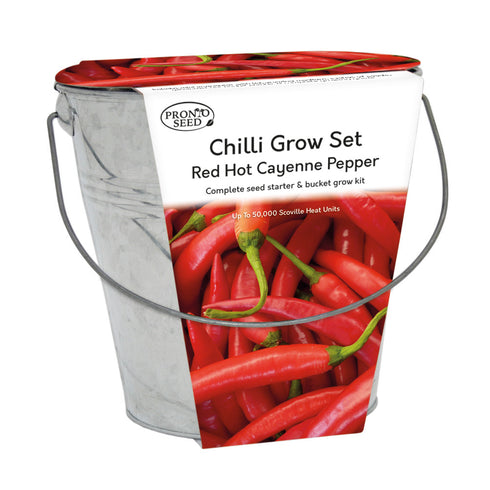 Chilli Galvanised Bucket Planter Grow Your Own Gift Set
