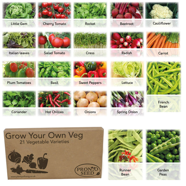 Vegetable Seeds – 21 Varieties, 1,700+ Seeds