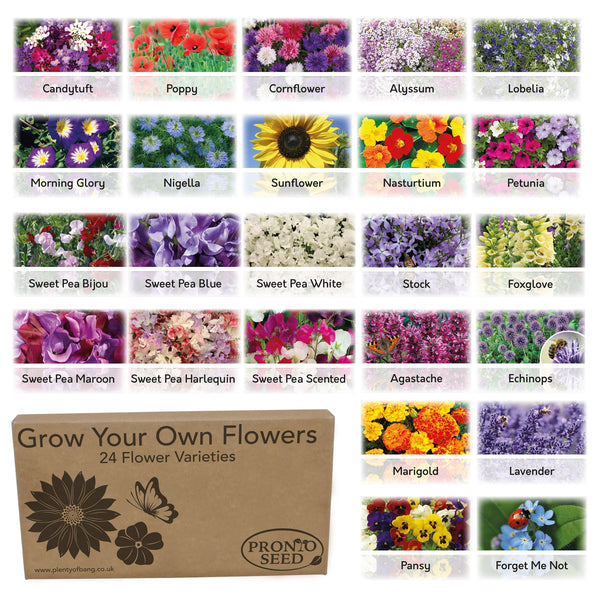 Flower Seed Pack – 24 Varieties Mixed Flower Seeds (Over 2,800 Seeds)
