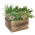 Herb kit, Premium Herb Growing Set, Grow 4 Most Popular Varieties from Seed in Reusable Wooden Box