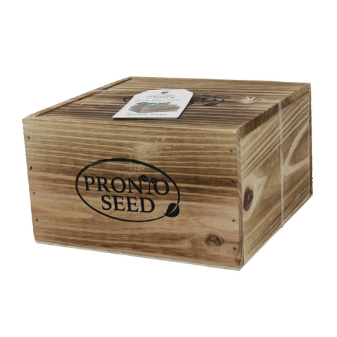 Bonsai kit, Bonsai Tree Growing kit, Premium Bonsai Set, Grow 4 Most Popular Varieties from Seed in Reusable Wooden Box